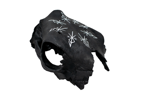 Image of partial cow skull with repeating Loki bindrunes