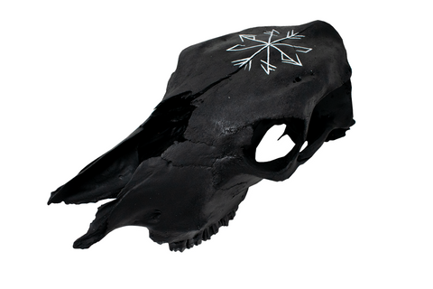 Image of Cow Skull with Strength & Growth Stave