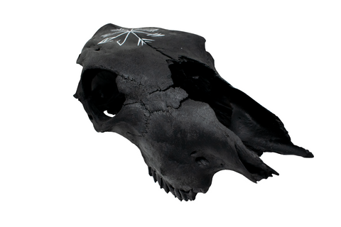 Image of Cow Skull with Strength & Growth Stave