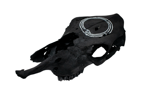Image of Blackened Cow Skull – Ouroboros
