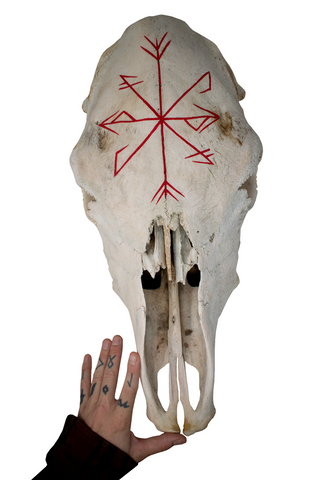 Image of Cow Skull – Strength & Growth Stave (red)