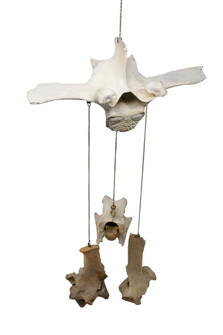 Image of Elk Bone Wind Chime
