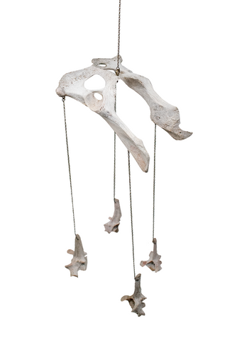 Image of Coyote Bone Wind Chime