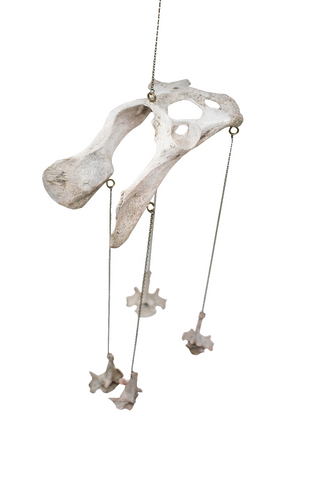 Image of Coyote Bone Wind Chime