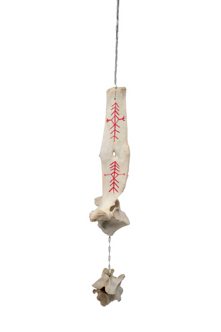 Image of Elk Vertebra Bone Wind Chime - Home Protection Bindrunes