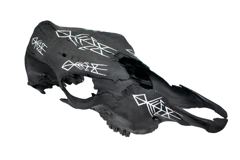 Image of Hand Painted Cow Skull with Ancestral Wisdom Bindrune