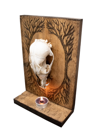Image of Coyote Skull and Yggdrasil Altar