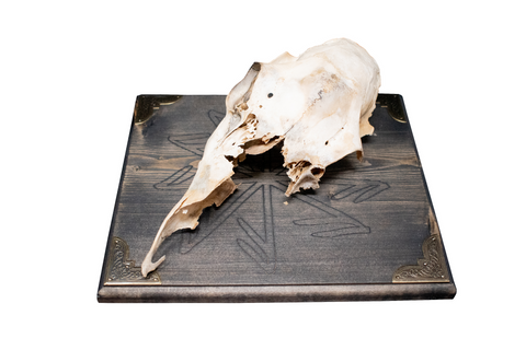 Image of Deer skull wall hanger with connection to the gods stave