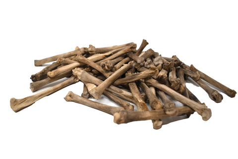 Image of gray wolf foot bone (metacarpal)