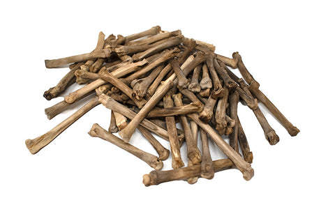 Image of gray wolf foot bone (metacarpal)