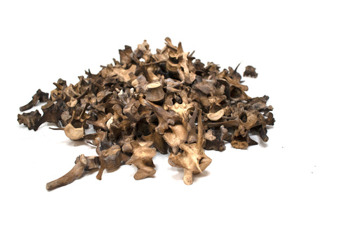 Image of gray wolf vertebra – Ritual Talisman for Norse Pagan Practice