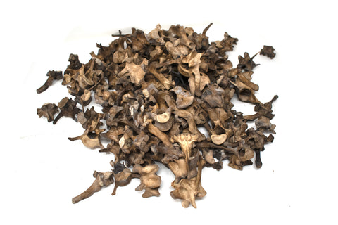 Image of gray wolf vertebra – Ritual Talisman for Norse Pagan Practice