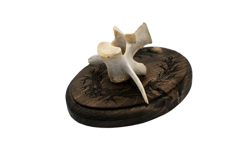Image of Deer Vertebra Wall Hanger with Roots of Yggdrasil