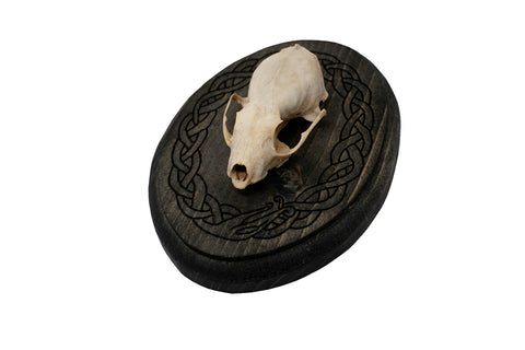 Image of Marten Skull Wall Hanger with Norse Serpent Knotwork