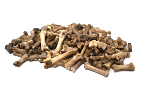 Image of gray wolf toe and tail bones