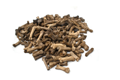 Image of gray wolf toe and tail bones