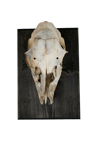 Image of Home Protection & Algiz Deer Skull Wall Hanger