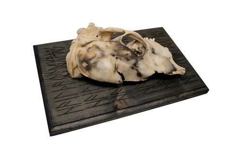 Image of HAIL THE OLD GODS deer skull wall hanger