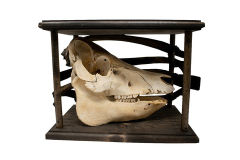 Image of Freya’s Hildisvíni Altar