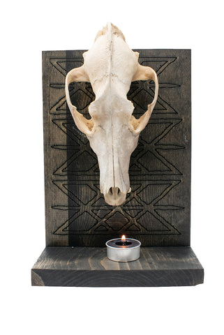 Image of Coyote Skull & Web Of Wyrd Altar