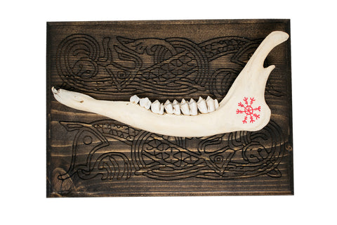 Image of Deer Jawbone Wall Talisman with Helm of Awe