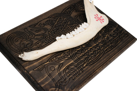 Image of Deer Jawbone Wall Talisman with Helm of Awe