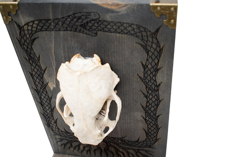 Image of Badger Skull Altar with Serpent Engraving And Yggdrasil