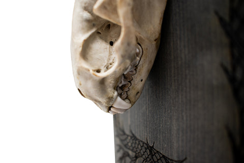 Image of Badger Skull Altar with Serpent Engraving And Yggdrasil