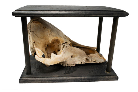 Image of Mausoleum Altar For Norse Goddess Freya With Pig Skull