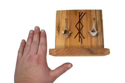 Image of Coyote Vertebra Altar with Strength and Wealth of Home Bindrune