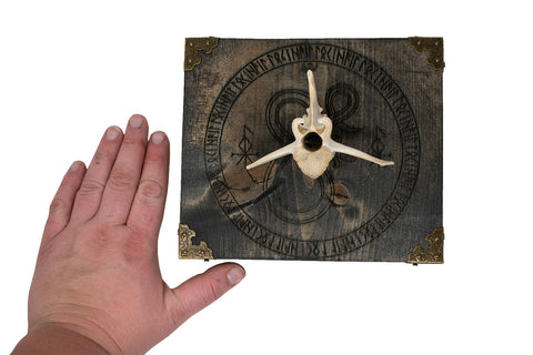 Image of Elk Vertebra Wall Hanger with Loki Bindrune and Jormungandr Engraving