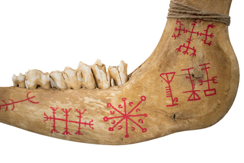 Image of Icelandic Stave Deer Jawbone Talisman