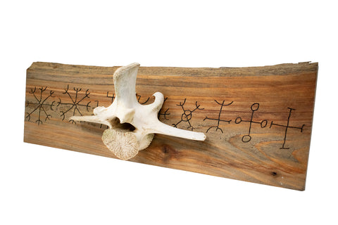 Image of 9 Helms Elk Vertebra Wall Hanger