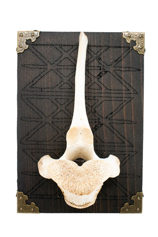 Image of Repeating Web of Wyrd Elk Vertebra Wall Hanger