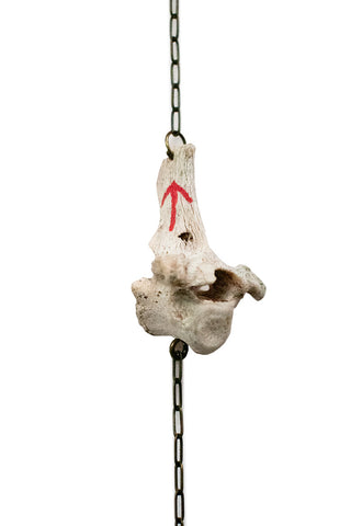 Image of Coyote Vertebra Wind Chime