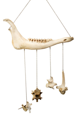 Image of Elk Bone Wind Chime