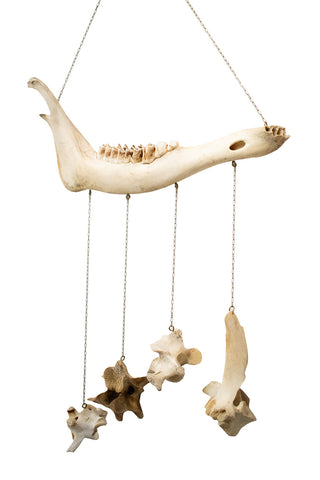 Image of Elk Bone Wind Chime