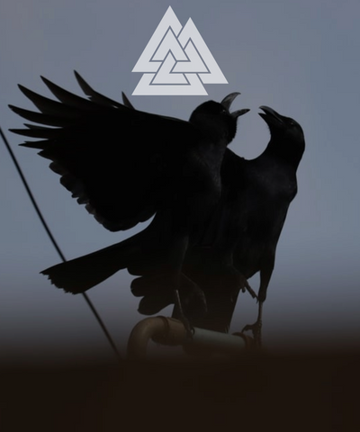 Image of Odin's ravens sticker