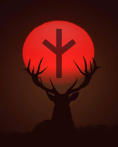 Image of Algiz sun sticker