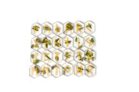 Image of forest elder futhark rune set