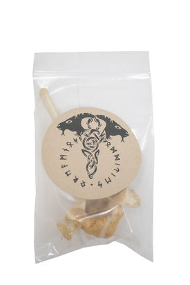 Ethically Sourced Deer Vertebra – Ritual Offering & Altar Talisman