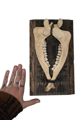 Image of norse symbols double deer jawbone wall hanger