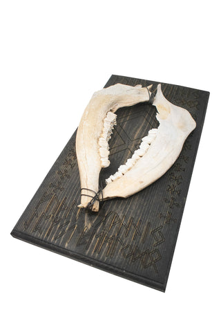 Image of othala rune double elk jawbone wall hanger