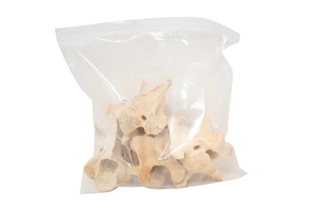 1 lb. bag of elk vertebrae