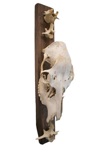 freya bindrune deer skull hanger