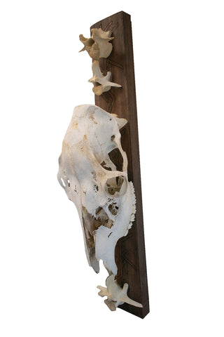 Image of freya bindrune deer skull hanger