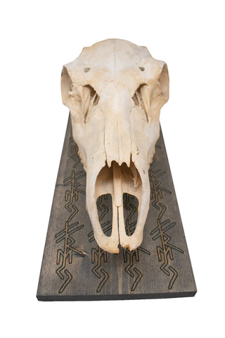 Image of freya bindrune elk skull hanger
