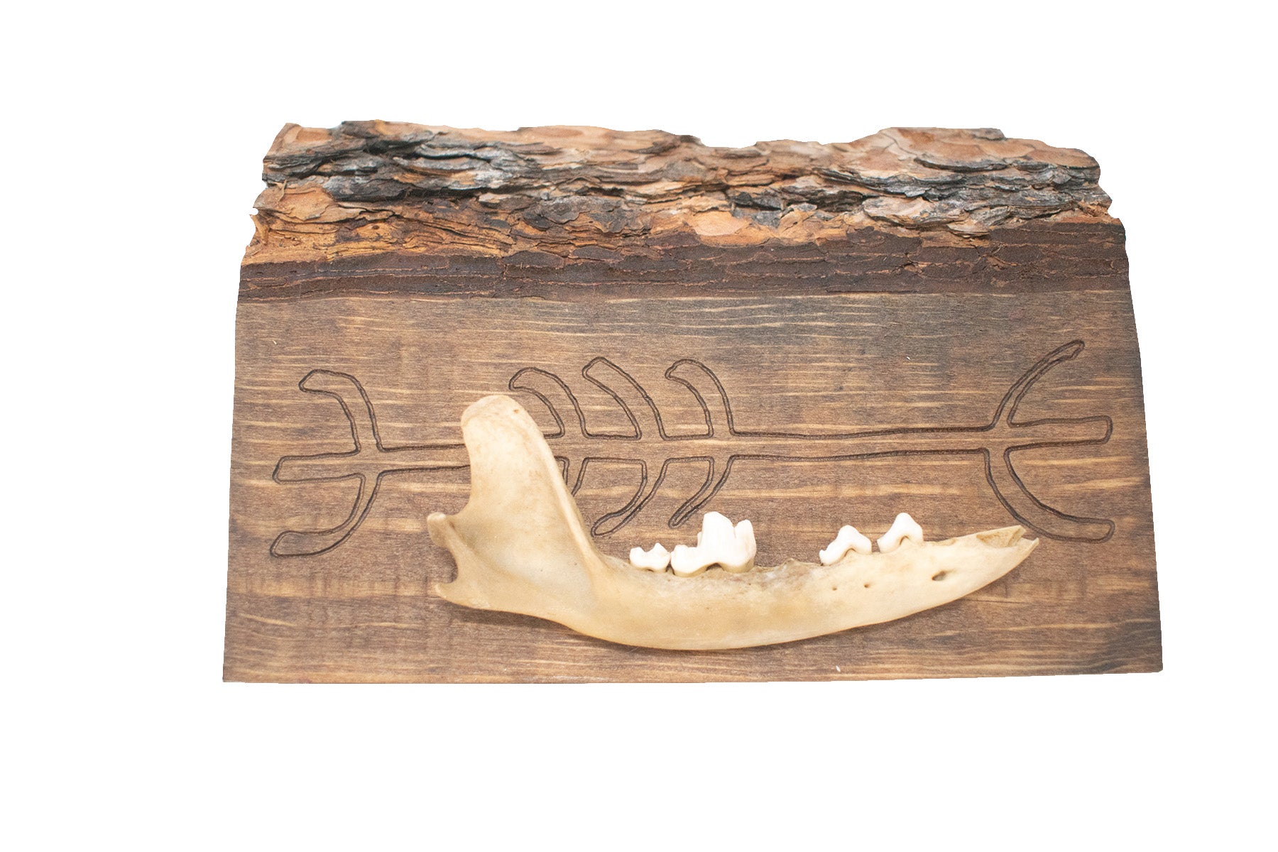 protection sigil jawbone hanger