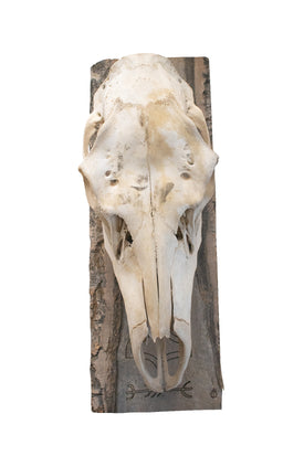 mjolnir & protection sigil elk skull hanger