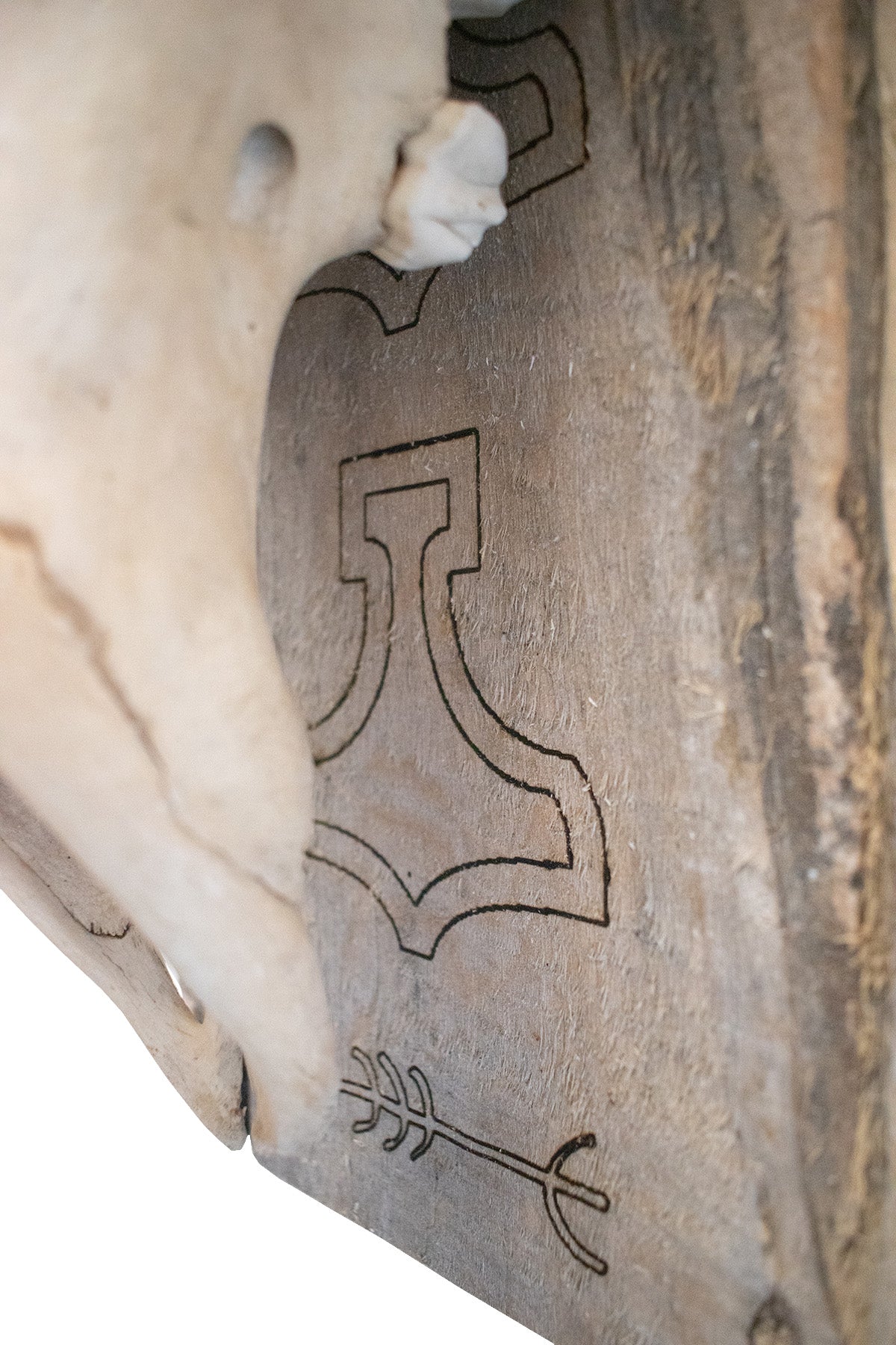 mjolnir & protection sigil elk skull hanger